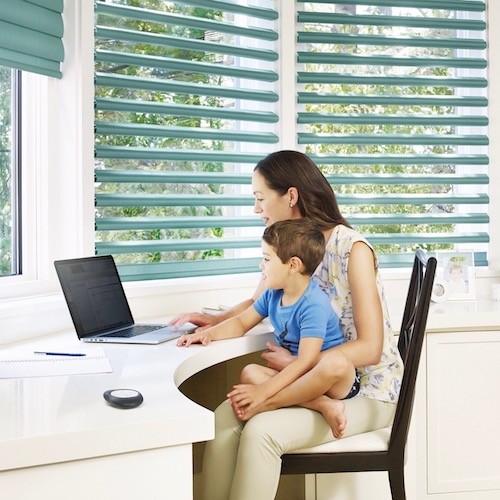 Woman holding young boy while sitting at a laptop